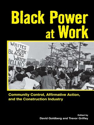cover image of Black Power at Work